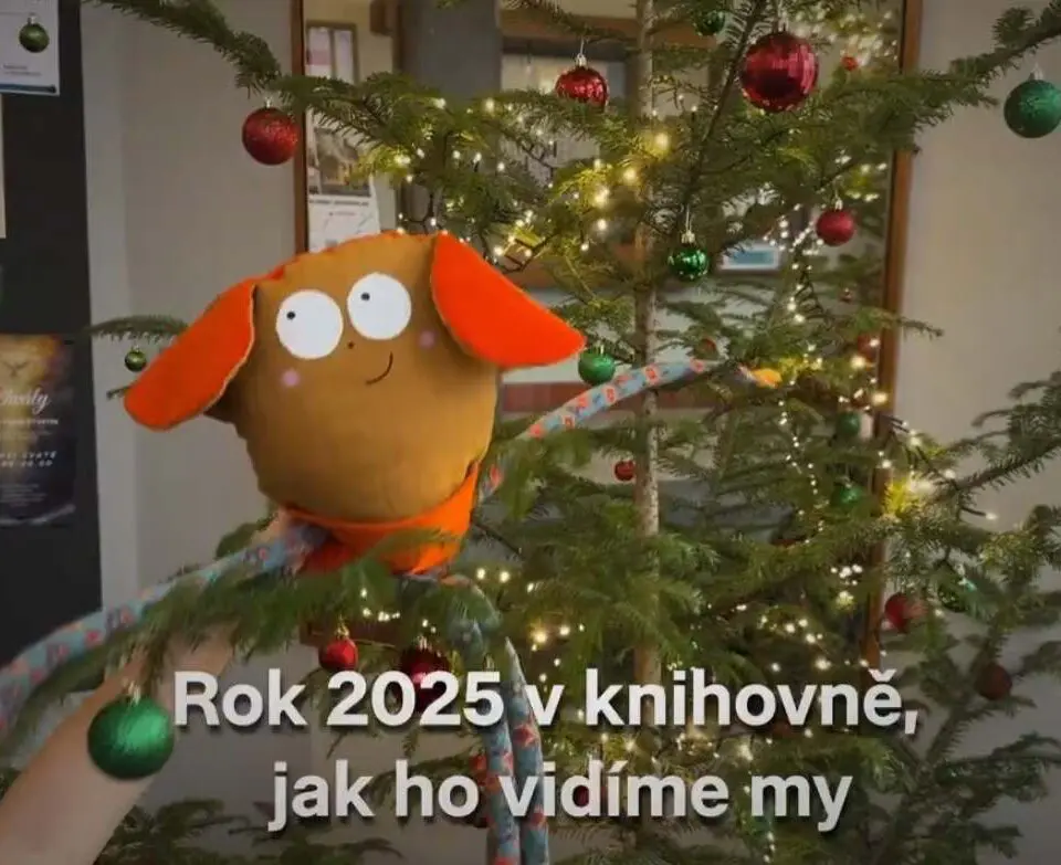 VIDEO: Jak vidíme rok 2025